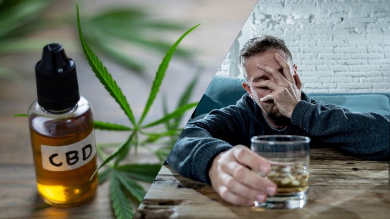 CBD чи алкоголь: що краще для боротьби зі стресом і тривожністю — новий погляд українських експертів